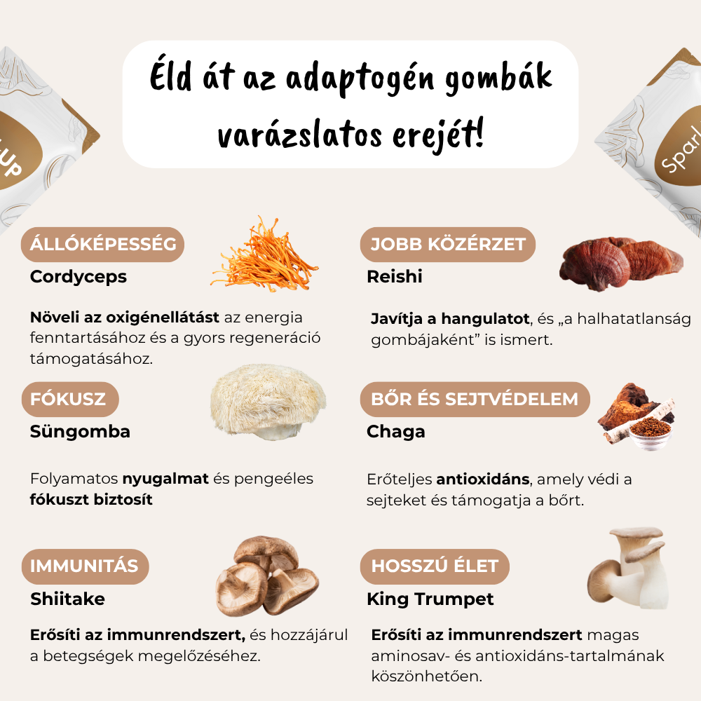 SparkUp™ - Különleges gomba kávé /30 adag/