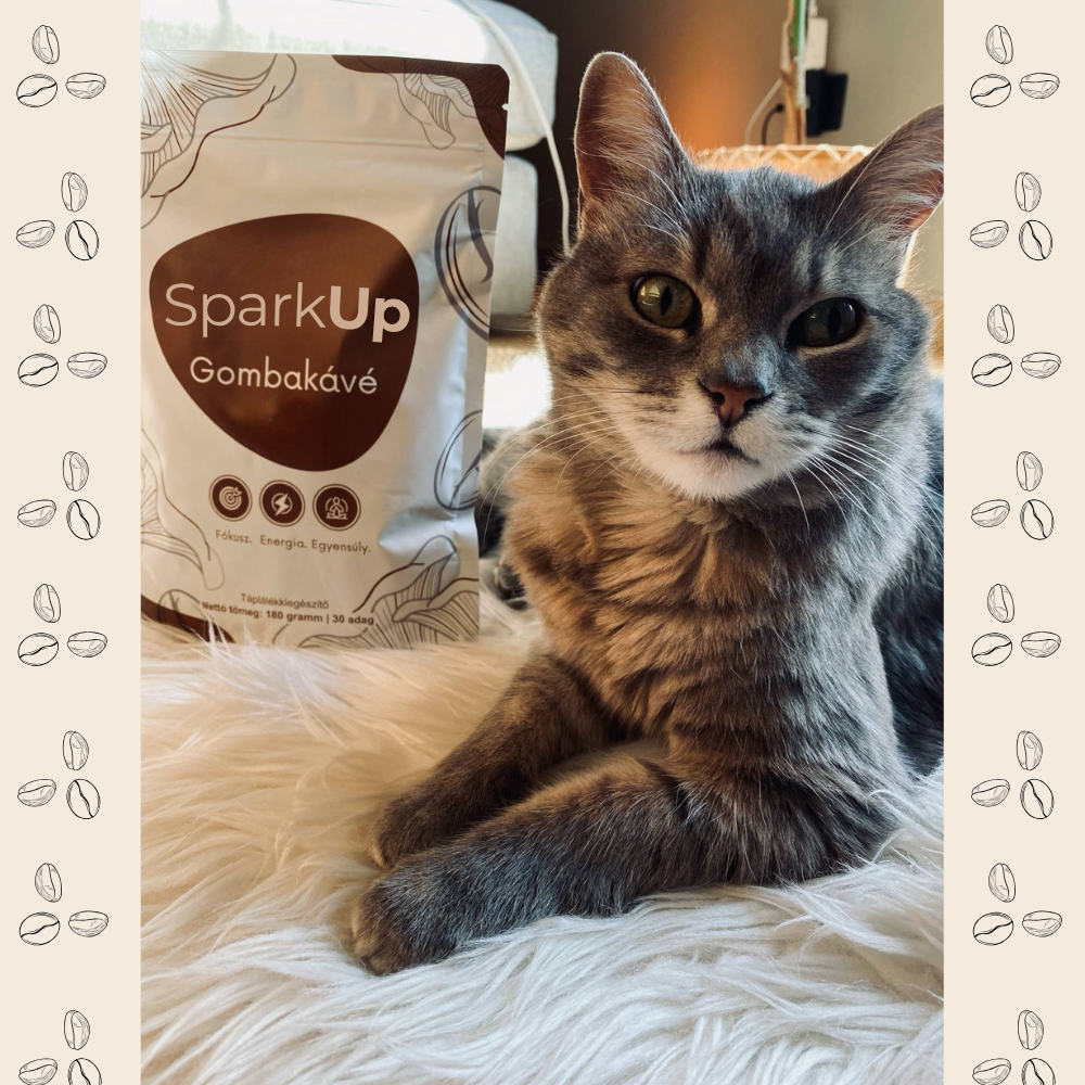 SparkUp™ - Különleges gomba kávé /30 adag/